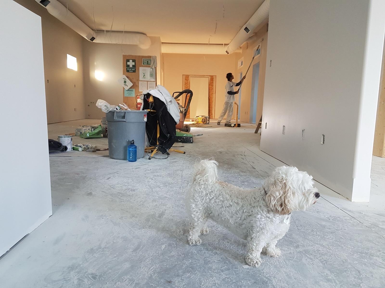 Interior painting underway on an active jobsite — framing project by AMV Construction in Charlotte, NC